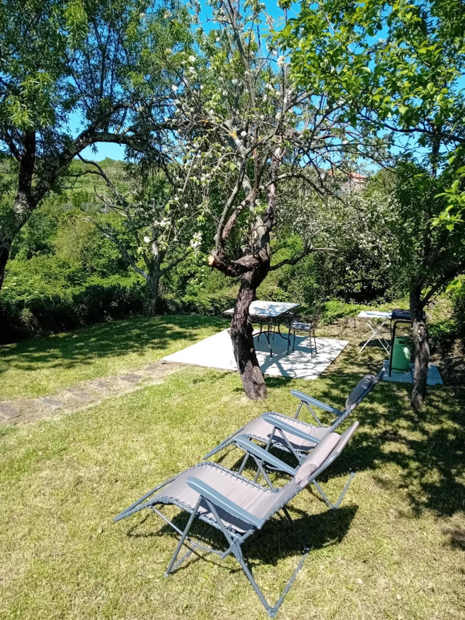 Fig&Lavender Apartment Smarje  Экстерьер фото